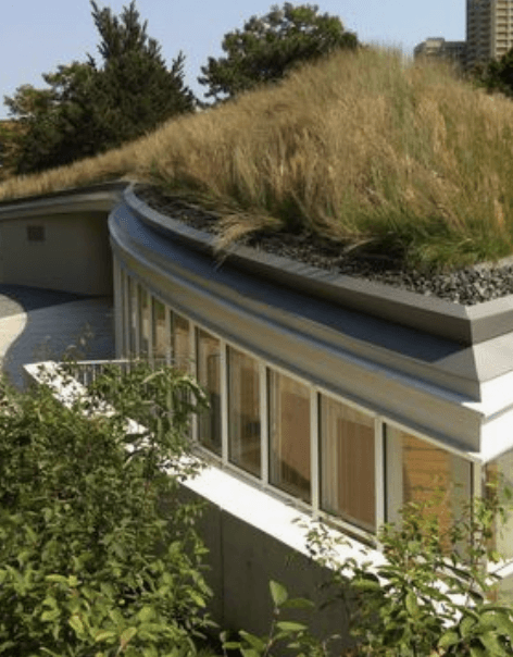 Green roofs insurance trends