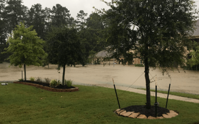 Extreme weather moments: Hurricane Harvey