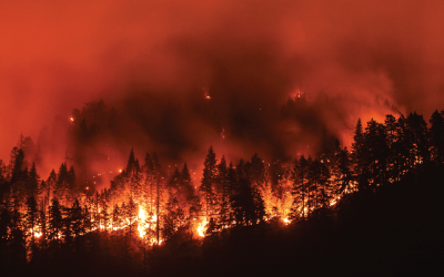 Understanding wildfire risk to write, renew and optimize insurance policies